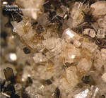 Eifel Mineralien Graulei Melilith