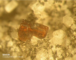 Eifel Mineralien Graulei Melilith