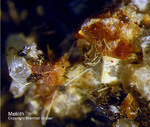 Eifel Mineralien Graulei Melilith