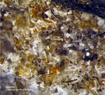 Eifel Mineralien Graulei Melilith