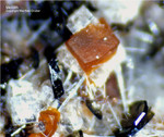 Eifel Mineralien Graulei Melilith