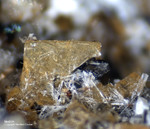 Eifel Mineralien Graulei Melilith