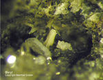 Eifel Mineralien Hannebacher Ley Baryt