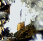 Eifel Mineralien Liley Schüllerit