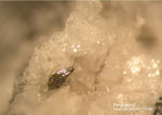 Eifel Mineralien Mendig Fergusonit