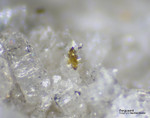 Eifel Mineralien Mendig Fergusonit