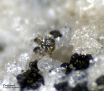 Eifel Mineralien Mendig Fergusonit