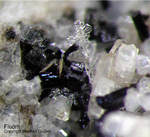 Eifel Mineralien Mendig Fluorit