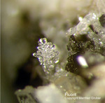 Eifel Mineralien Mendig Fluorit