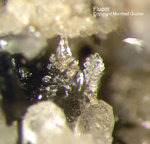 Eifel Mineralien Mendig Fluorit