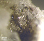 Eifel Mineralien Mendig Fluorit
