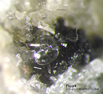 Eifel Mineralien Mendig Fluorit