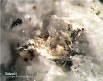 Eifel Mineralien Mendig Götzenit