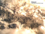 Eifel Mineralien Mendig Götzenit