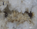 Eifel Mineralien Mendig Götzenit