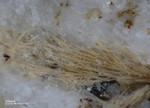 Eifel Mineralien Mendig Götzenit