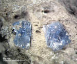 Eifel Mineralien Mendig Hauyn