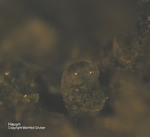 Eifel Mineralien Mendig Hauyn