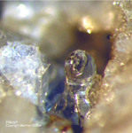 Eifel Mineralien Mendig Hauyn