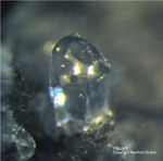 Eifel Mineralien Mendig Hauyn