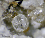Eifel Mineralien Mendig Hauyn
