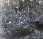 Eifel Mineralien Mendig Hauyn