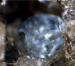 Eifel Mineralien Mendig Hauyn
