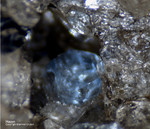 Eifel Mineralien Mendig Hauyn
