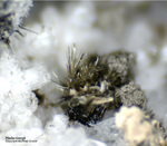 Eifel Mineralien Mendig Hedenbergit