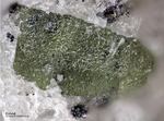 Eifel Mineralien Mendig Korund