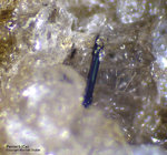 Eifel Mineralien Mendig Perrierit-(Ce)