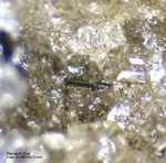 Eifel Mineralien Mendig Perrierit-(Ce)