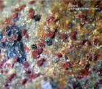 Eifel Mineralien Mendig Siderit