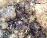 Eifel Mineralien Mendig Siderit