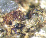 Eifel Mineralien Mendig Siderit