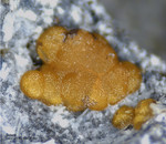 Eifel Mineralien Mendig Siderit