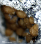 Eifel Mineralien Mendig Siderit