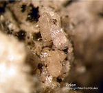 Eifel Mineralien Mendig Zirkon
