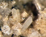 Eifel Mineralien Mendig Zirkon