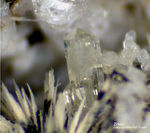 Eifel Mineralien Mendig Zirkon