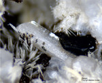 Eifel Mineralien Mendig Zirkon