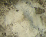 Eifel Mineralien Stolberg Münsterbusch Calcit