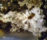Eifel Mineralien Stolberg Münsterbusch Calcit