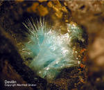 Eifel Mineralien Münsterbusch Stolberg Devillin