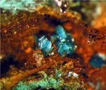 Eifel Mineralien Münsterbusch Stolberg Ktenasit