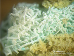 Eifel Mineralien Münsterbusch Stolberg Zinkaluminit