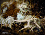 Eifel Mineralien Münsterbusch Stolberg Zinkaluminit