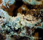 Eifel Mineralien Münsterbusch Stolberg Zinkaluminit