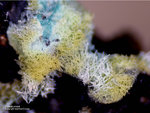 Eifel Mineralien Münsterbusch Stolberg Zinkaluminit
