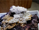 Eifel Mineralien Münsterbusch Stolberg Zinkaluminit